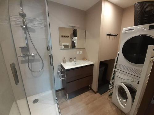 une salle de bain avec douche et lavabo et une machine à laver dans l'établissement Le duplex de Dana, Gresse en Vercors, Alpes du Nord, classement 3 étoiles par Atout France, à Gresse-en-Vercors
