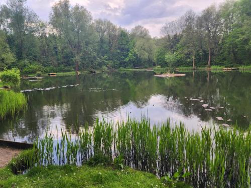 un grand étang avec de l'herbe et des arbres dans un parc dans l'établissement THE NEW INN Newton Derbyshire, à Tibshelf