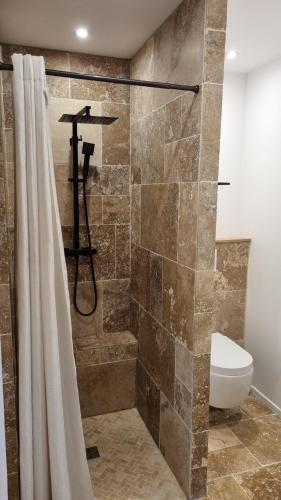 une salle de bain avec douche et toilettes dans l'établissement Appartement centre historique d'Auch, à Auch