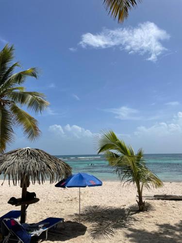 two umbrellas and chairs on a beach with the ocean at studio Ti’Gwada Family in Saint-François
