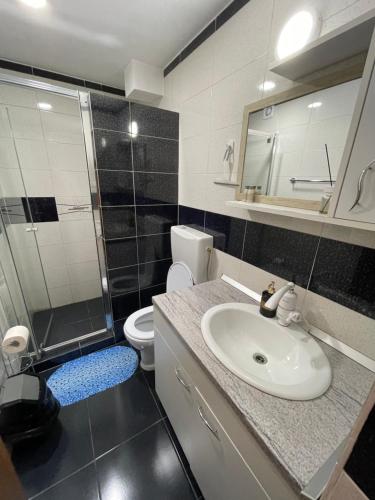 ein Bad mit einem Waschbecken, einer Dusche und einem WC in der Unterkunft Casa Decebal in Călimăneşti