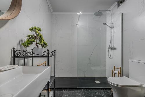 a bathroom with a shower and a sink and a toilet at Casa dos Bardos in Alvações do Corgo