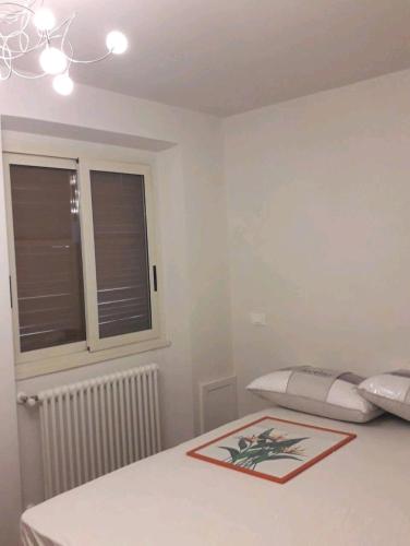 Stanza in superattico, terrazzato, luminoso, accogliente, bagno privato