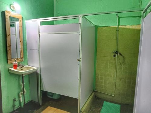 聖塔安娜的住宿－Casa isabel，绿色浴室设有淋浴和水槽