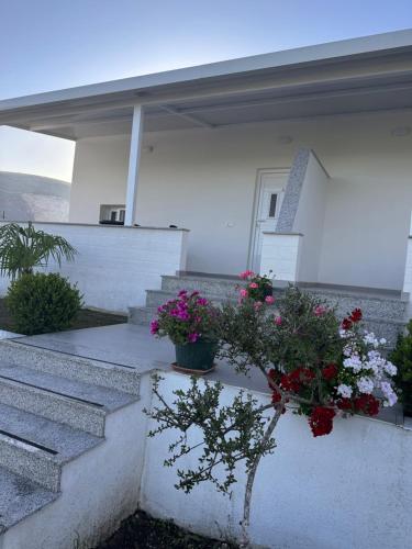Gallery image of Andi's GuestHouse in Sarandë