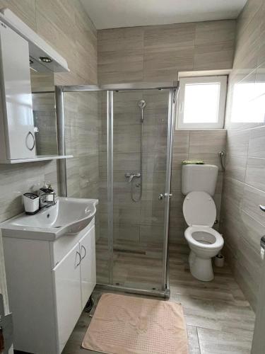 a bathroom with a shower and a toilet and a sink at Darija in Dobra Voda