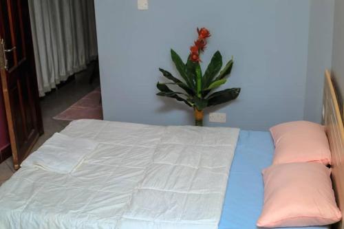 ein Schlafzimmer mit einem Bett mit zwei Kissen und einer Pflanze in der Unterkunft EQUATOR GATES HOTEL in Bulenga