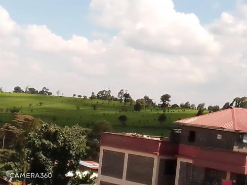 vistas a un campo verde desde un edificio en Backpackers at Banana Hill, en Nairobi