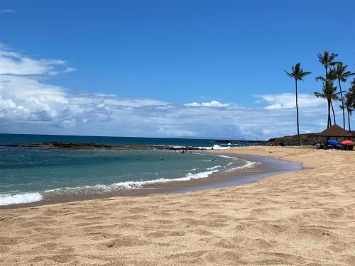a sandy beach with palm trees and the ocean at Malia Makai - D - Dolphin in Koloa