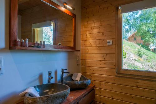 梅特澤拉的住宿－Les Chalets de La Marcairie，一间带水槽和镜子的浴室