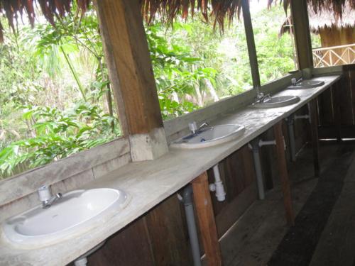 伊基托斯的住宿－Tahuayo Lodge Expeditions，窗户浴室里的一排盥洗盆