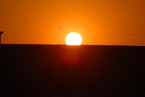 an orange sunset with the sun in the background at Negev Camel Ranch in Dimona