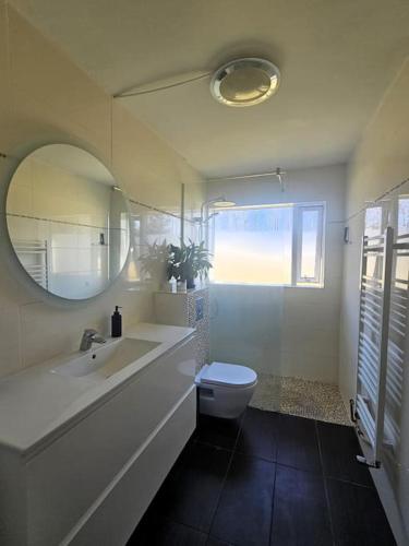 a bathroom with a sink and a toilet and a mirror at Apartment near Reykjavik's heart in Reykjavík