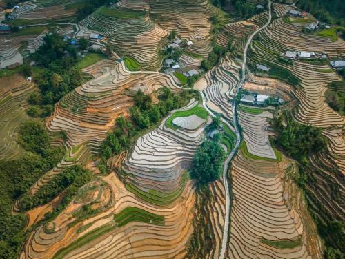 an aerial view of rows of rice terraced fields at SaPa Farmer House in Sa Pa
