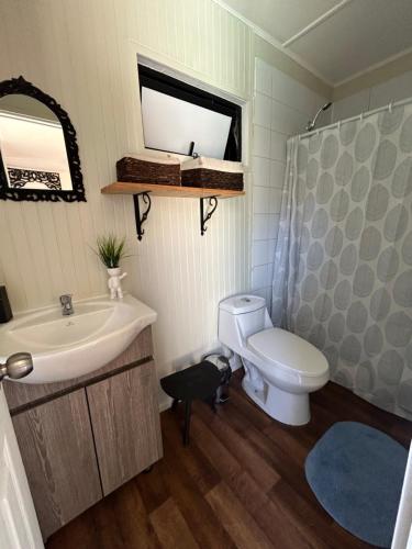 a bathroom with a sink and a toilet and a mirror at Colmena House Villa Alemana in Villa Alemana