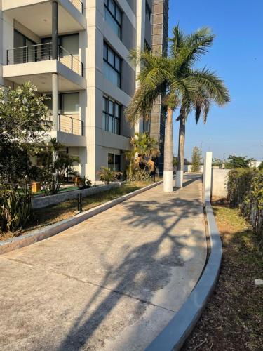 a sidewalk in front of a building with a palm tree at Departamento Torre Onze in Mérida