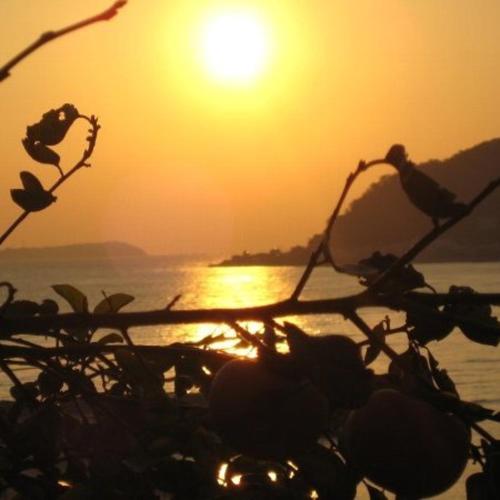 a bird sitting on a branch in front of the sunset at AtamiOnsen Nagahamaen in Atami