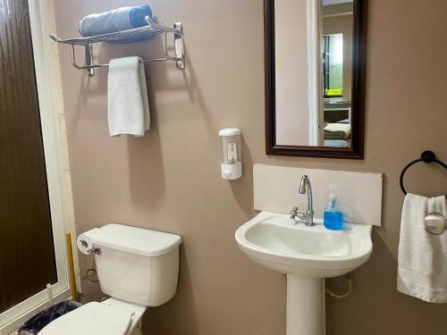 a bathroom with a toilet and a sink and a mirror at Mini Suite Apartamento in San Pedro Sula