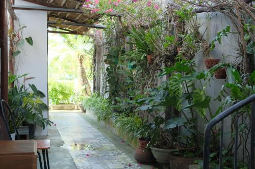 a corridor with plants on the wall at Come to the Sea homestay Phú Yên in Tuy Hoa