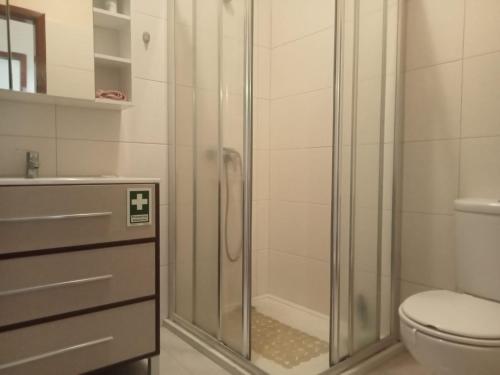 uma casa de banho com um chuveiro, um WC e um lavatório. em Lombada Villa Comfort em Ponta Delgada