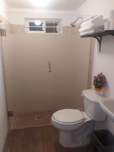 a bathroom with a toilet and a shower and a sink at DEPARTAMENTO PERLITA in Mazatlán