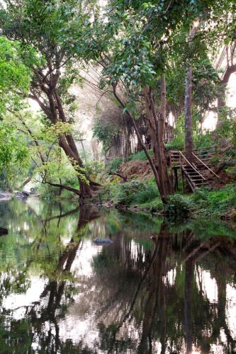 Amanvana Spa Resort, Coorg – Photos 2