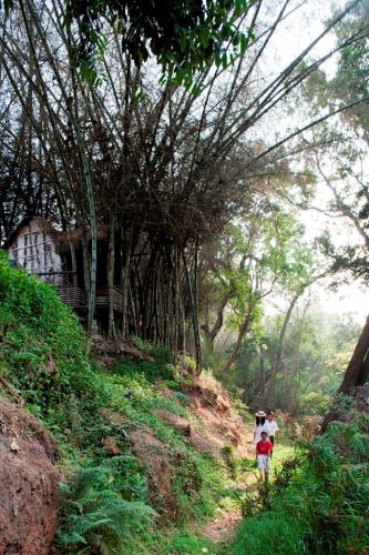 Amanvana Spa Resort, Coorg – Photos 3
