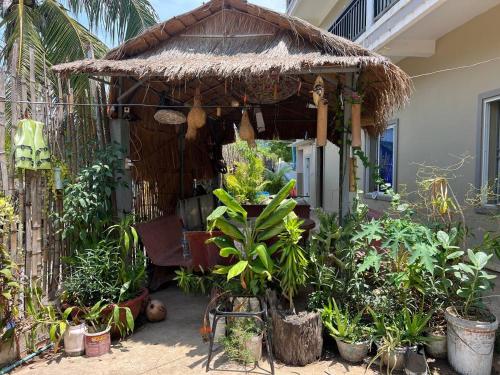 un cenador con un montón de plantas en El Ling guesthouse en Kep