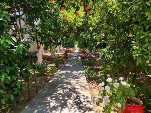 a row of fruit trees in a garden at CottonClub Villas in Tolo