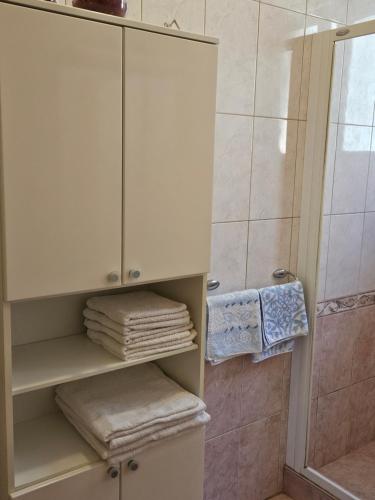 een badkamer met een douche en een kast met handdoeken bij Villa Kety in Prigradica
