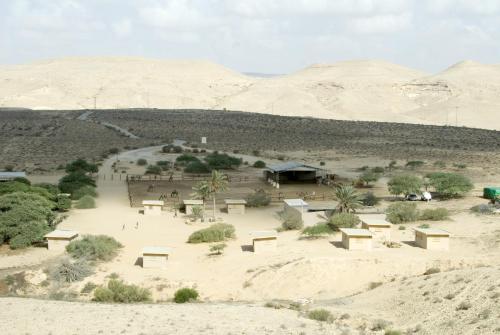a view of a desert with mountains in the background at Negev Camel Ranch in Dimona