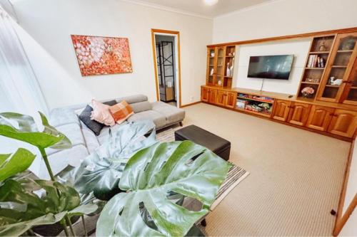 a living room with a couch and a large plant at Paringa Riverside Resort in Renmark