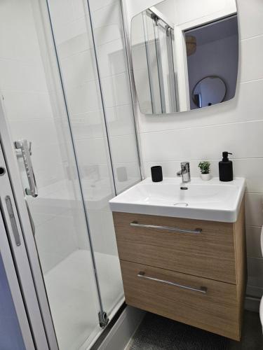 une salle de bain avec un lavabo et une douche dans l'établissement Elégant studio stade de France 12 pour 4 personnes, à Saint-Denis