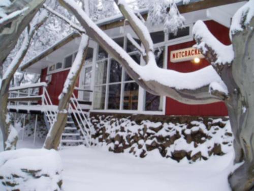 Nutcracker Ski Club v zimě