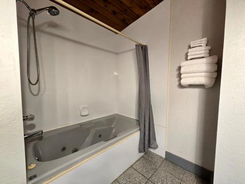 a bathroom with a shower and a tub with towels at Alpine Inn in Valemount