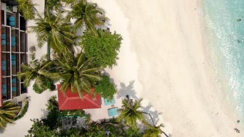 una vista sul mare di una spiaggia con palme e di un edificio di Canopus Retreat Thulusdhoo a Thulusdhoo