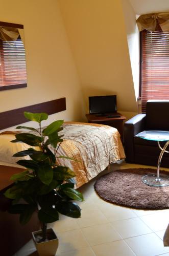 a bedroom with a bed and a chair and a plant at Camping Motel WOK in Warsaw