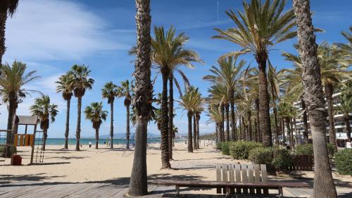 a bench on the beach with palm trees at SOLIMAR 10 SALOU Solo FAMILIAS con Parking y piscina in Salou