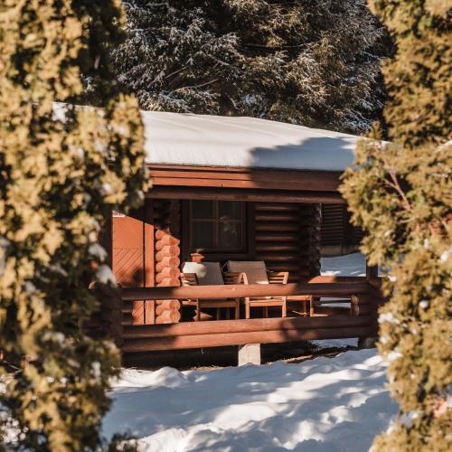 a log cabin with snow on the roof in the snow at Villas Jagoda & Malina in Borovets