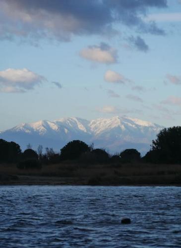 Photo de la galerie de l'établissement Juste au bout du chemin, l'étang, au Barcarès
