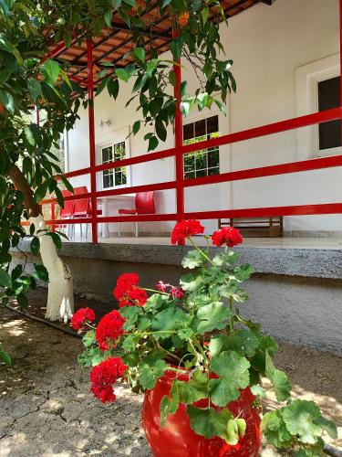 a red vase with red flowers in front of a building at CottonClub Villas in Tolo