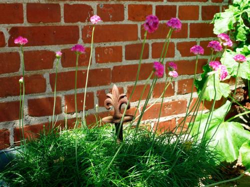 a small plant in the grass next to a brick wall at Zeitweise in Bünsdorf