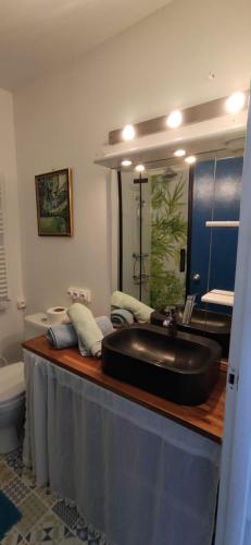 La salle de bains est pourvue d'un grand lavabo sur un comptoir. dans l'établissement Appart n°22, VUE MER, Plage, à Perros-Guirec