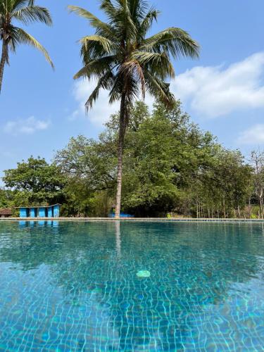 una piscina con palmeras en el fondo en Green valley jungle resort, 