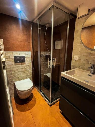 een badkamer met een douche, een toilet en een wastafel bij Le Four' Nid in La Terrasse-sur-Dorlay