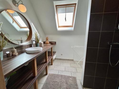 uma casa de banho com um lavatório e um espelho em Au Coeur des Collines, Noisette em Ellezelles