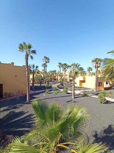 Oasis Papagayo Corralejo
