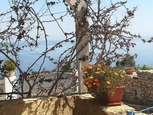 un jardín con flores en una olla en la pared en Azzurrosalento, en Marina Serra