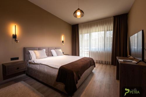 ein Hotelzimmer mit einem Bett und einem TV in der Unterkunft Vila Petra in Cristian