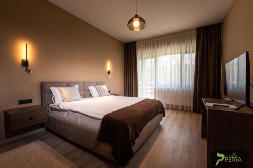 a hotel room with a bed and a television at Vila Petra in Cristian